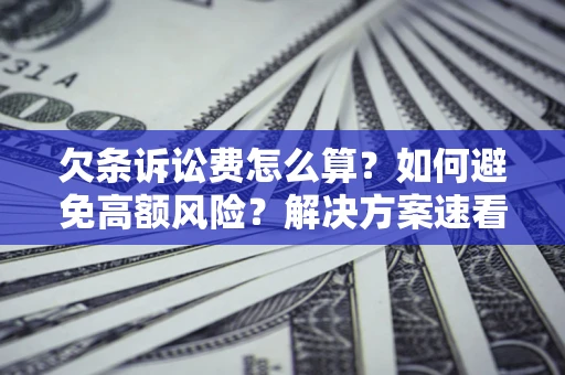 北京欠条诉讼费怎么算？如何避免高额风险？解决方案速看！