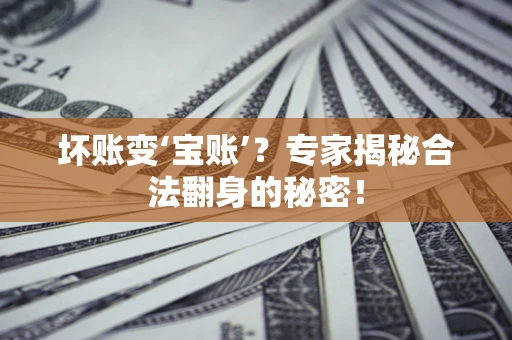 北京坏账变‘宝账’？专家揭秘合法翻身的秘密！