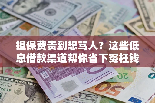 北京担保费贵到想骂人？这些低息借款渠道帮你省下冤枉钱