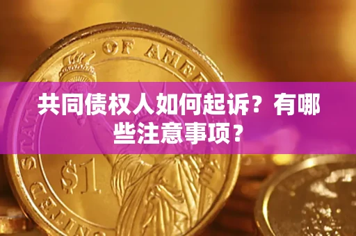 北京共同债权人如何起诉？有哪些注意事项？